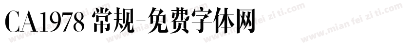 CA1978 常规字体转换